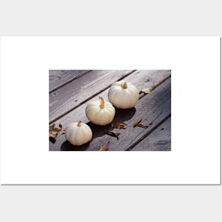 White Pumpkins in festive season Posters and Art